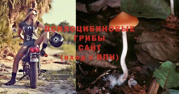 a pvp Балабаново