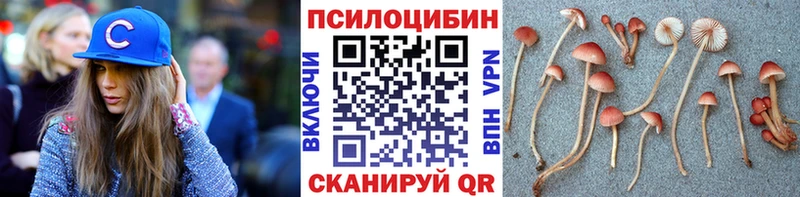 кракен рабочий сайт  Лыткарино  Галлюциногенные грибы мухоморы  сколько стоит 