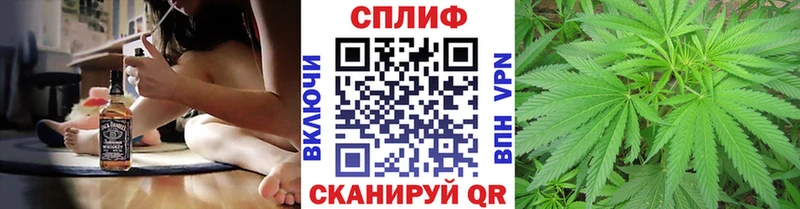 блэк спрут tor  где купить наркоту  Лыткарино  Марихуана сатива 